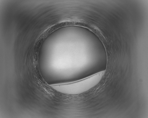 X0000055971064200508190657