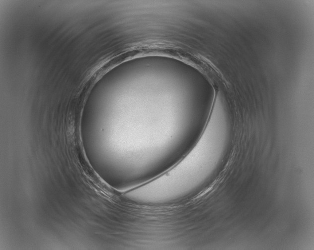 X0000055971065200508190657