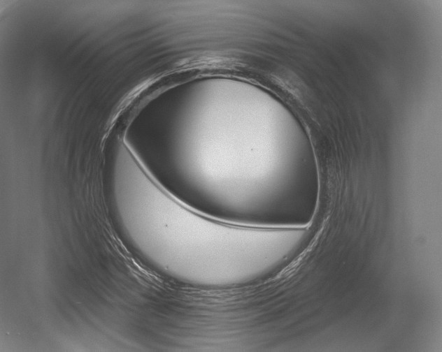 X0000055971066200508190657