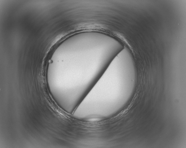 X0000055971071200508190657
