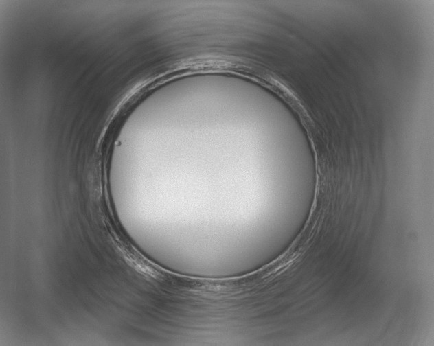X0000055971075200508190657