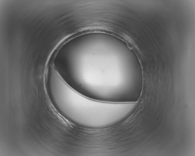X0000055971076200508190657