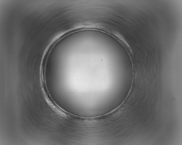 X0000055971080200508190657
