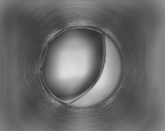 X0000055971081200508190657