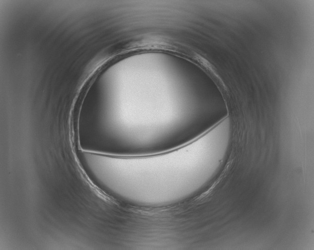 X0000055971082200508190657