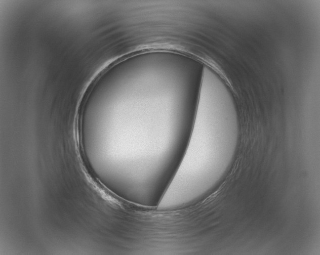 X0000055971084200508190657