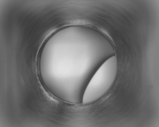 X0000055971087200508190657