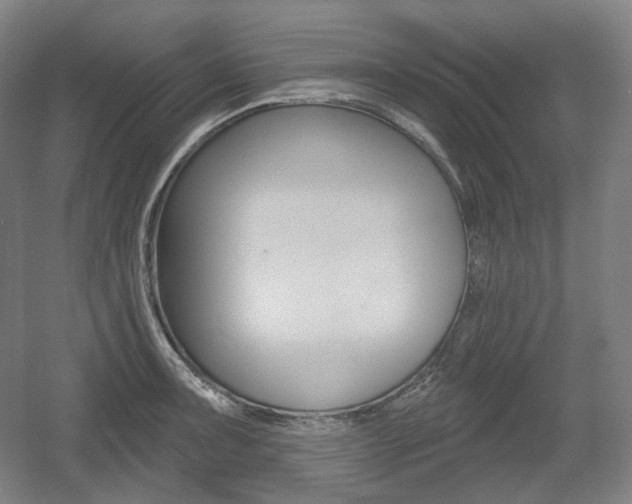 X0000055971091200508190657