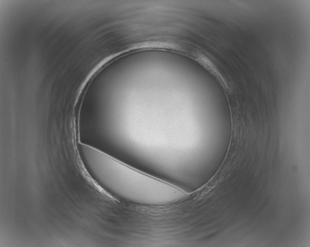 X0000055971092200508190657