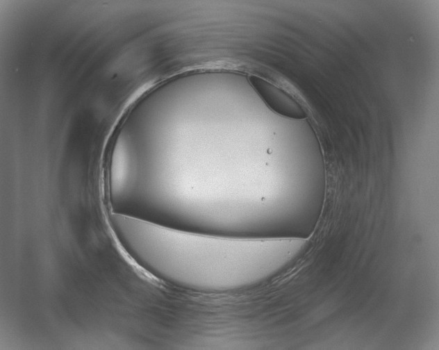 X0000055971095200508190657