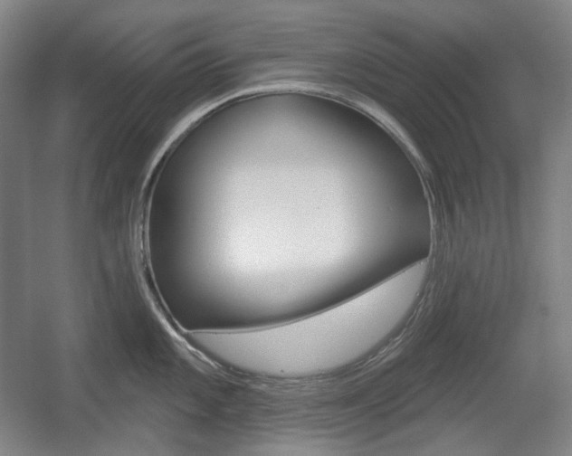 X0000055971101200508190657