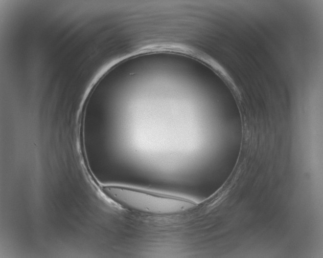 X0000055971102200508190657