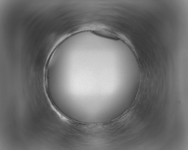 X0000055971103200508190657