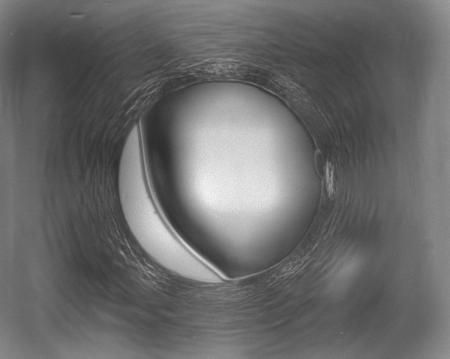 X0000055971107200508190656