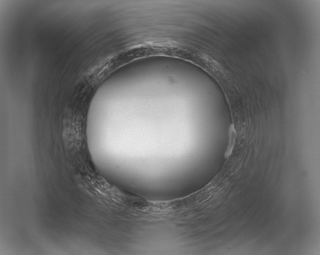X0000055971110200508190656