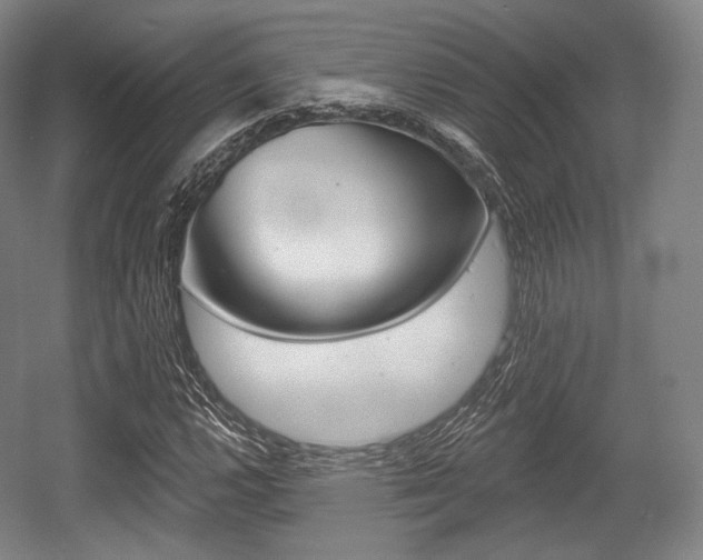 X0000055971112200508190656