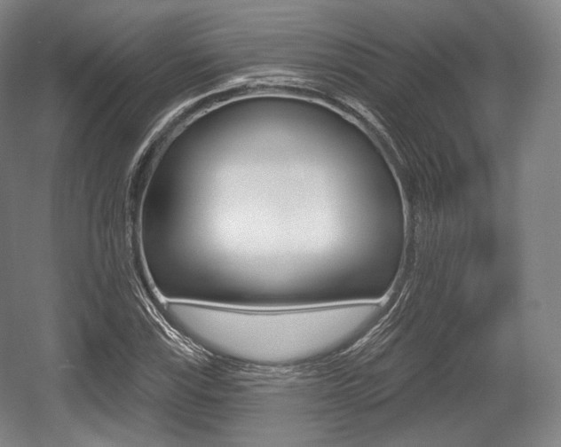X0000055971115200508190656