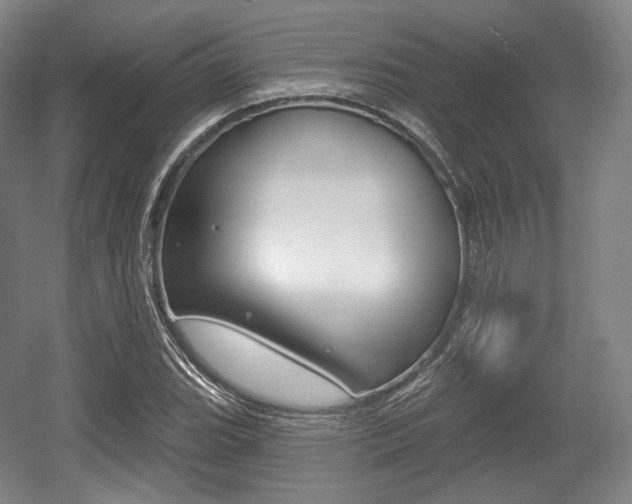 X0000055971119200508190656