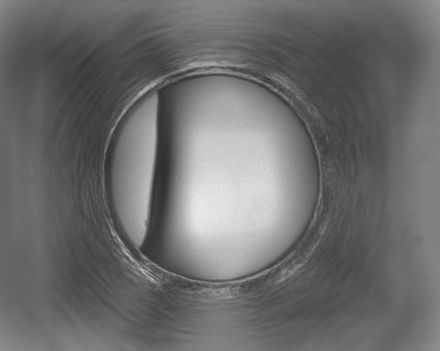 X0000055971121200508190656