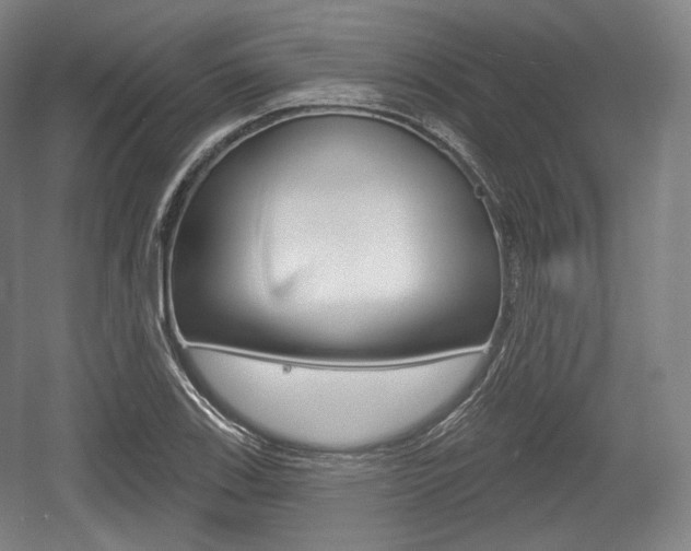 X0000055971123200508190656