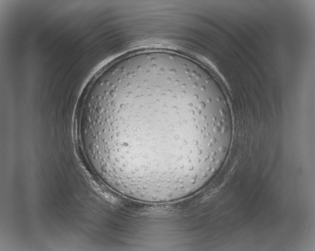 X0000055971125200508190656