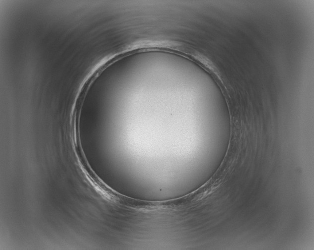 X0000055971127200508190656