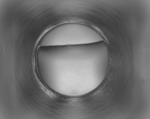 X0000055971130200508190656