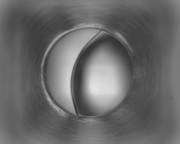 X0000055971132200508190656