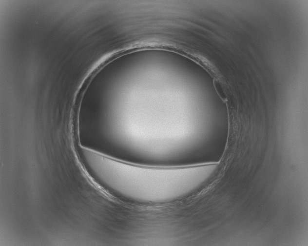 X0000055971134200508190656