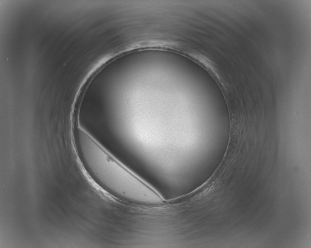 X0000055971135200508190656