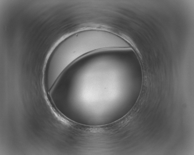 X0000055971136200508190656