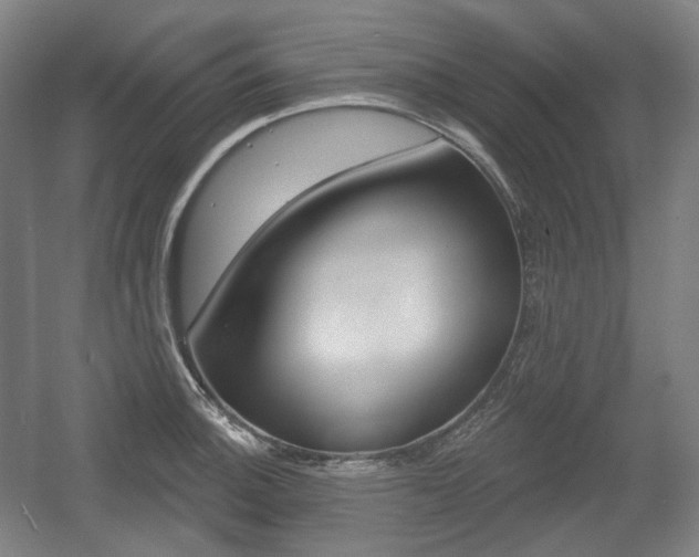 X0000055971140200508190656