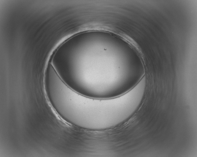 X0000055971144200508190656