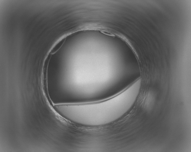 X0000055971147200508190656