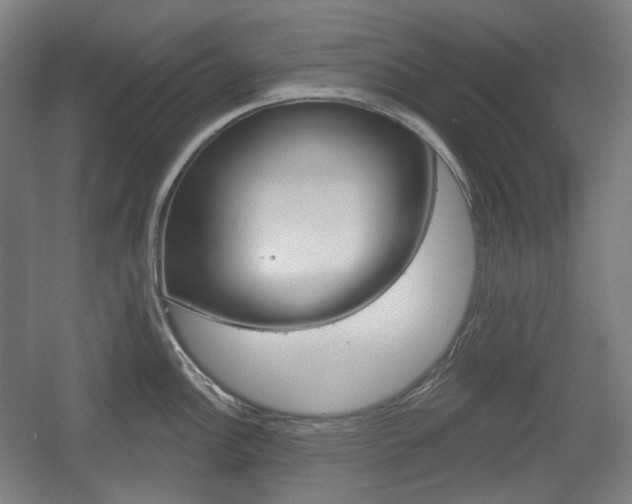 X0000055971148200508190656