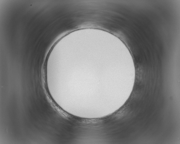 X0000055971150200508190657