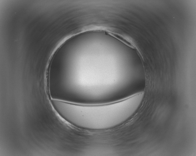 X0000055971151200508190657
