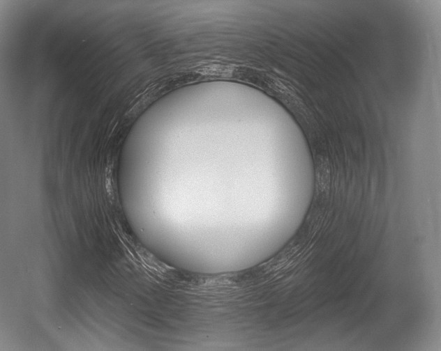 X0000055971154200508190656