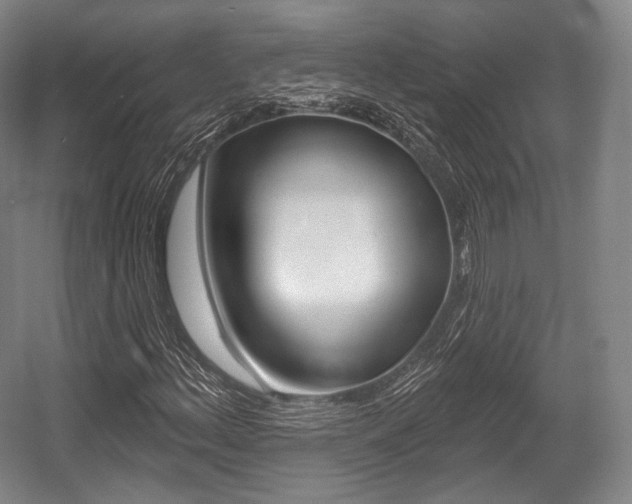 X0000055971156200508190656