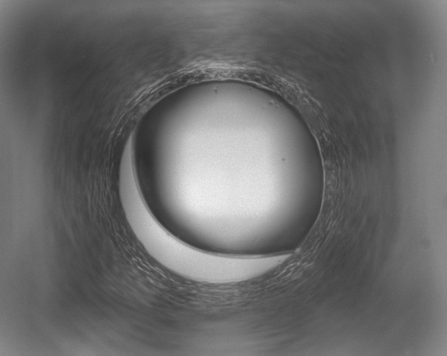 X0000055971157200508190656