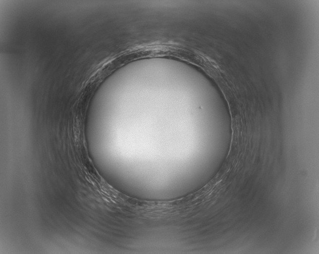 X0000055971158200508190656