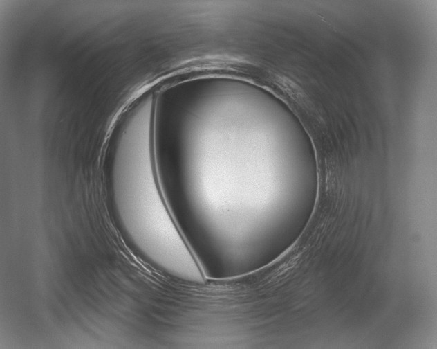 X0000055971164200508190656