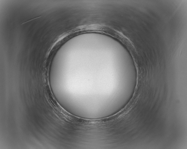 X0000055971166200508190655