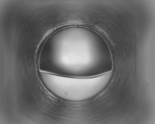X0000055971168200508190655
