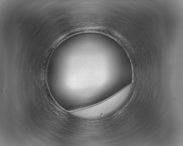 X0000055971169200508190655