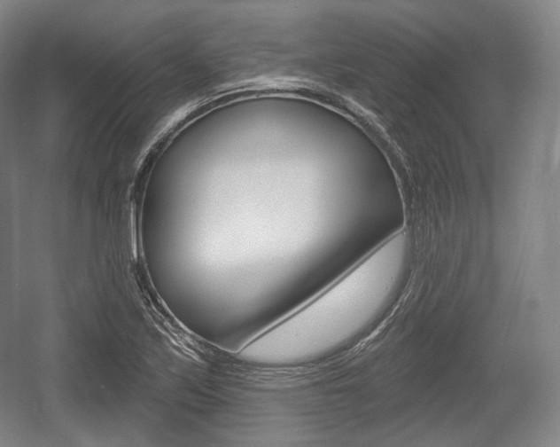 X0000055971171200508190655