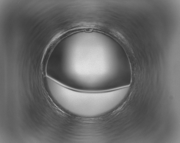 X0000055971172200508190655