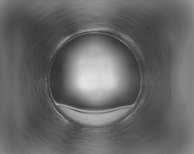 X0000055971177200508190655