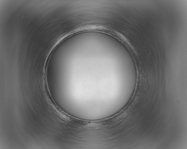 X0000055971178200508190655