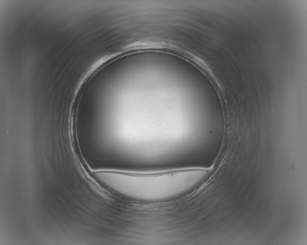 X0000055971179200508190655